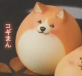 Kogiman