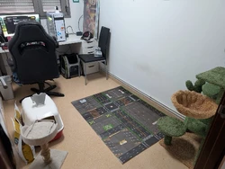 Imagen de reseña 1