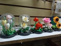 Imagen de reseña 1