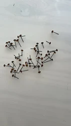 Review image 3