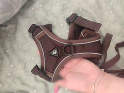 Review image 1