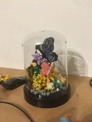 Review image 1