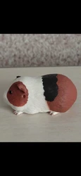 Imagen de reseña 1