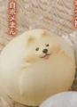 White Pome Bun