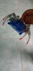Review image 2