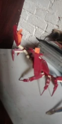 Imagen de reseña 1
