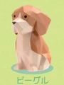 Beagle