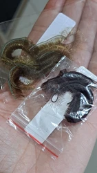 Review image 1