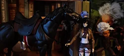 Review image 5