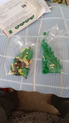 Imagen de reseña 2