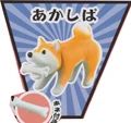Akashiba