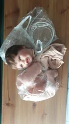 Review image 1