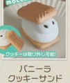 Vanilla cookie