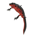 belly Newt keychain
