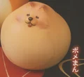 Pome bun