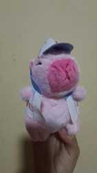 Review image 1