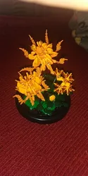 Imagen de reseña 1