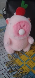Review image 1