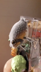 Review image 1