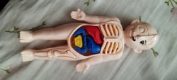 Review image 4
