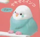 blue parakeet