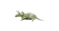 Triceratops