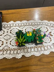 Review image 1