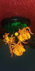 Imagen de reseña 3