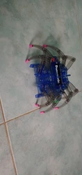 Review image 1