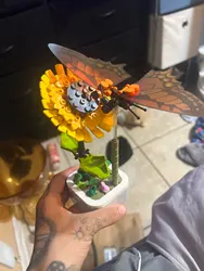 Imagen de reseña 1