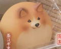 Chakogi bun