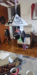 Imagen de reseña 1