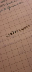 Imagen de reseña 3