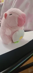 Imagen de reseña 1