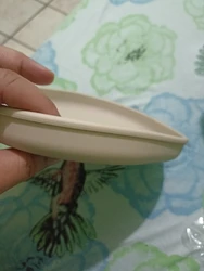 Review image 2