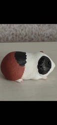 Imagen de reseña 5