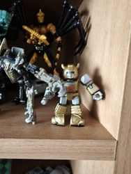 Review image 1