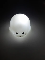 Review image 1