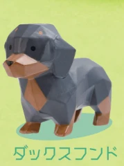 Dachshund