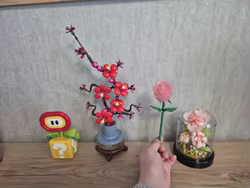 Imagen de reseña 1
