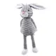 Gray rabbit