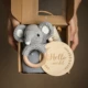 Elephant suit