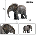 Animal 4