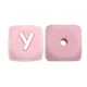 10pcs Y