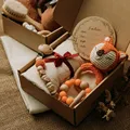 Fox set