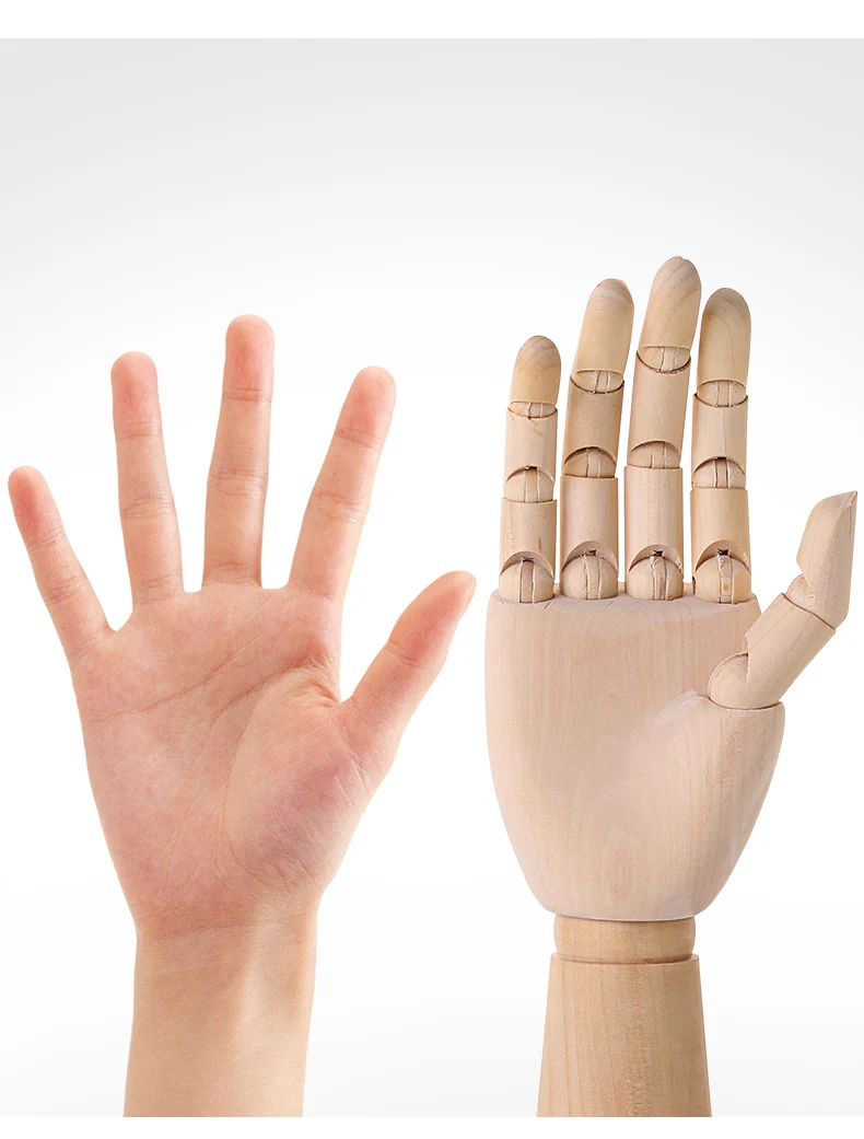 Una mano y una mano de madera se muestran de lado a lado