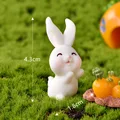 Hug Close Eye Rabbit