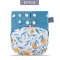 ES069-EF419