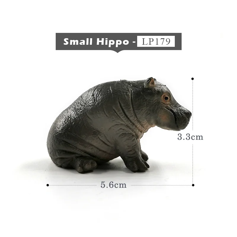 Small Hippo