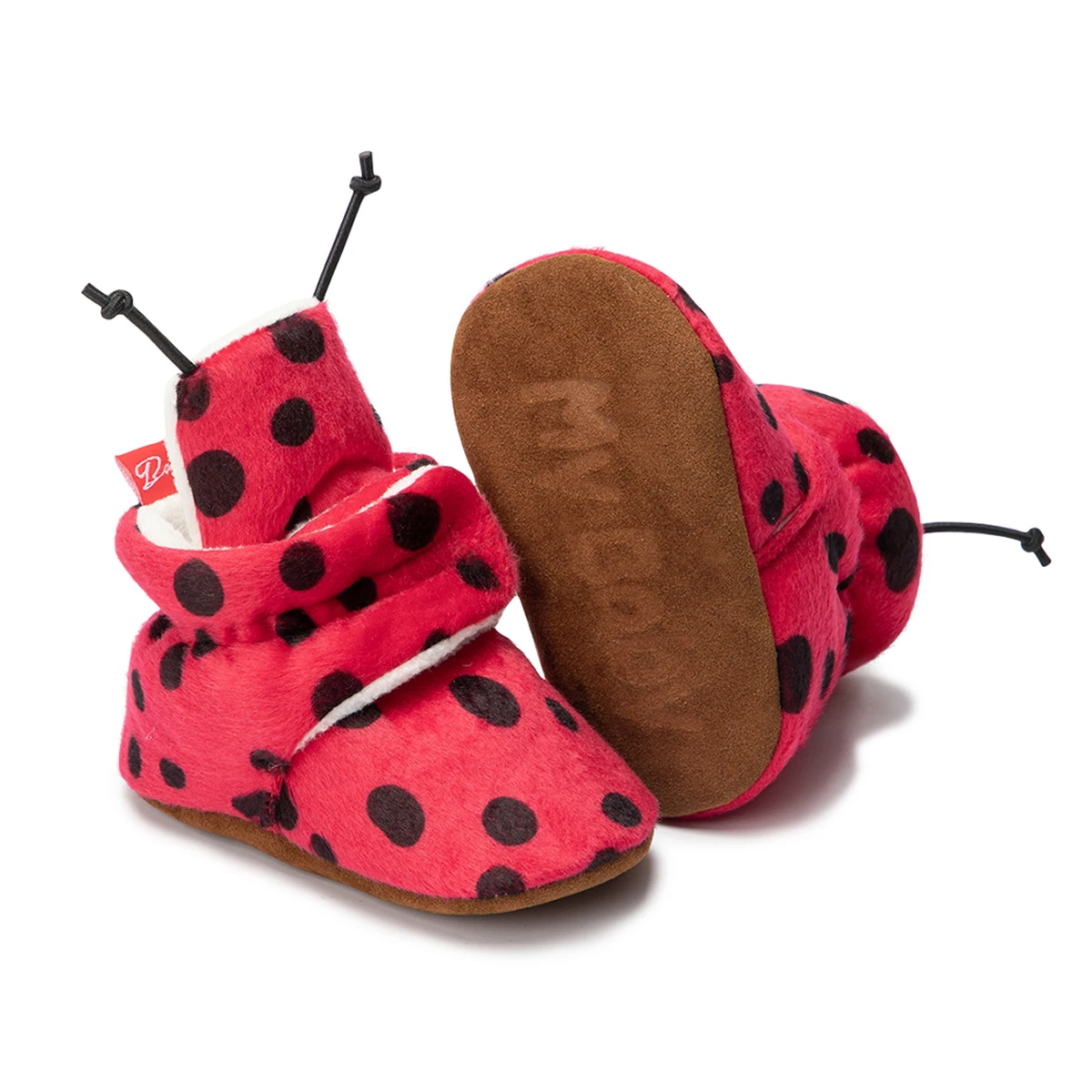 Ladybug